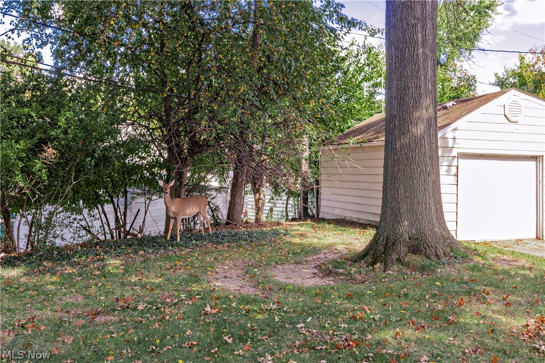 16897 Mapleboro Avenue Maple Heights OH 44137