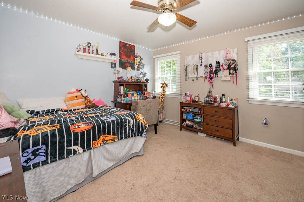 2236 Tanglewood Drive Salem OH 44460