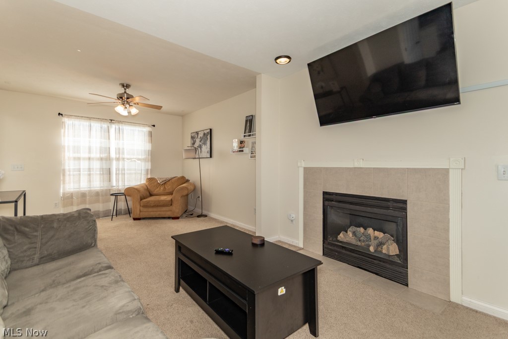 1999 Beringer Place Harpersfield OH 44041