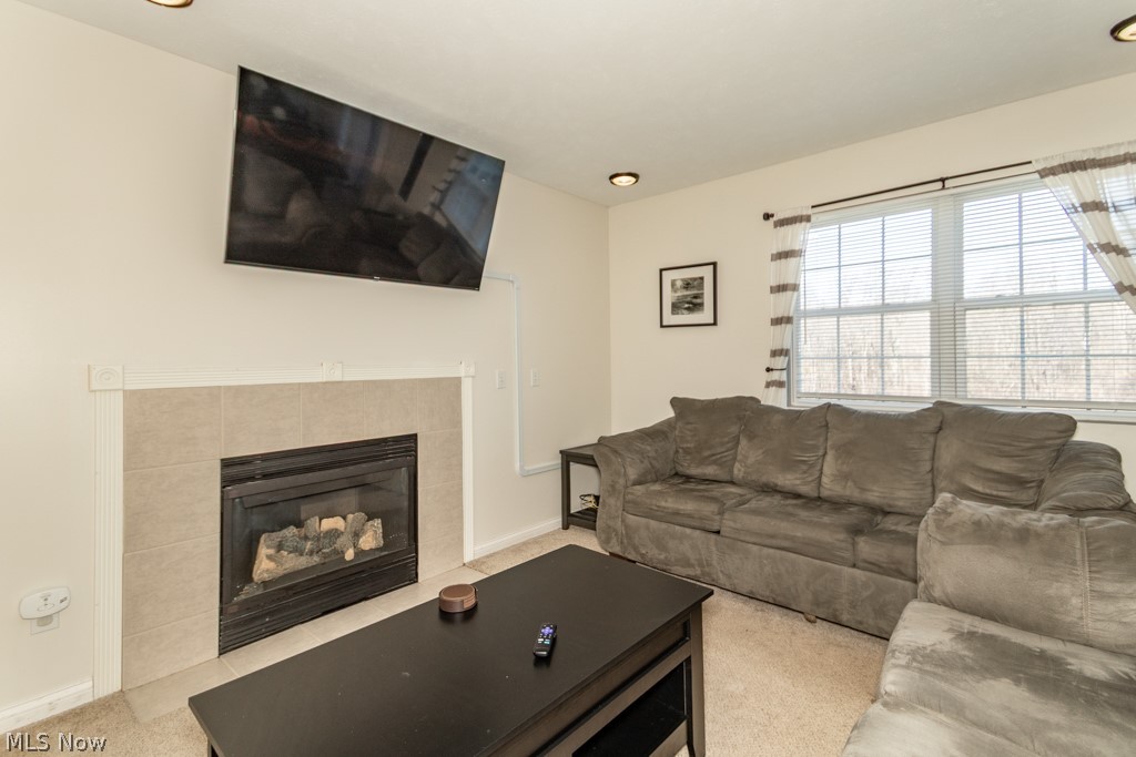 1999 Beringer Place Harpersfield OH 44041