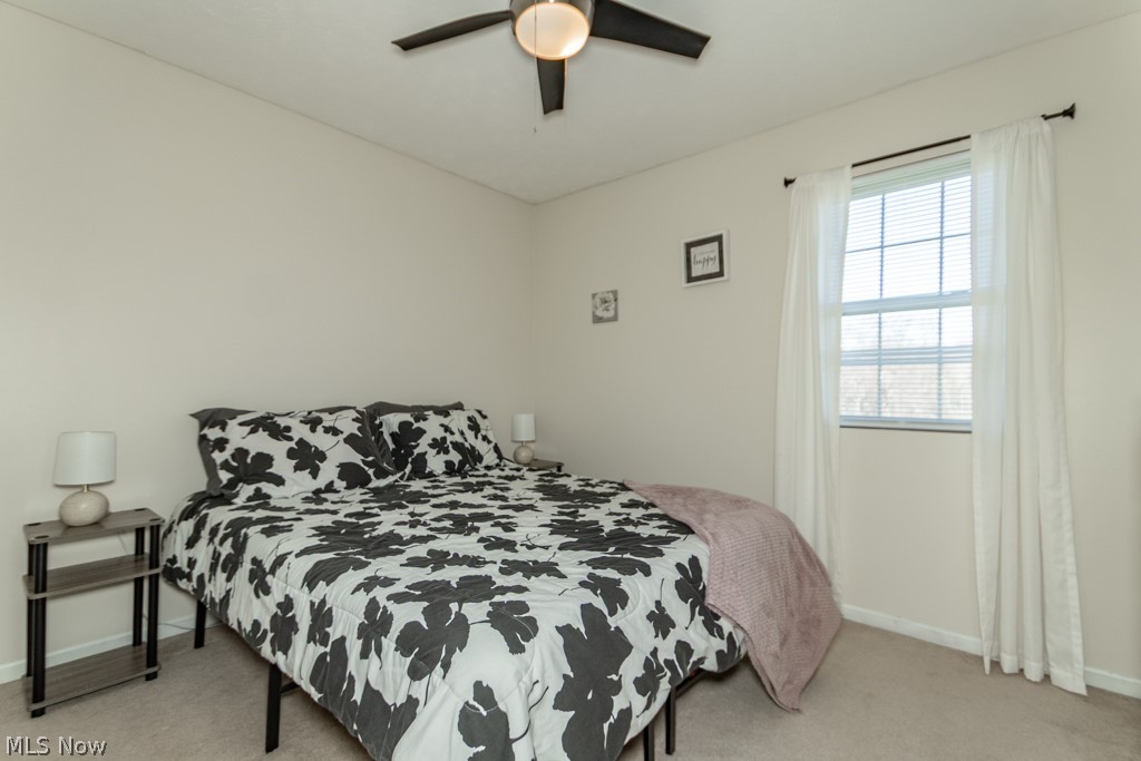 1999 Beringer Place Harpersfield OH 44041