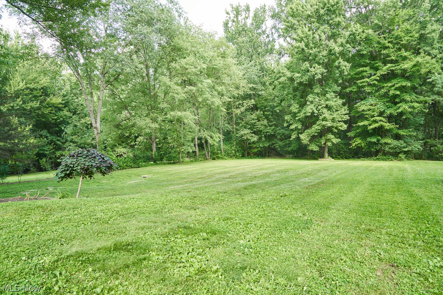 1097 Oak Tree Road Akron OH 44320