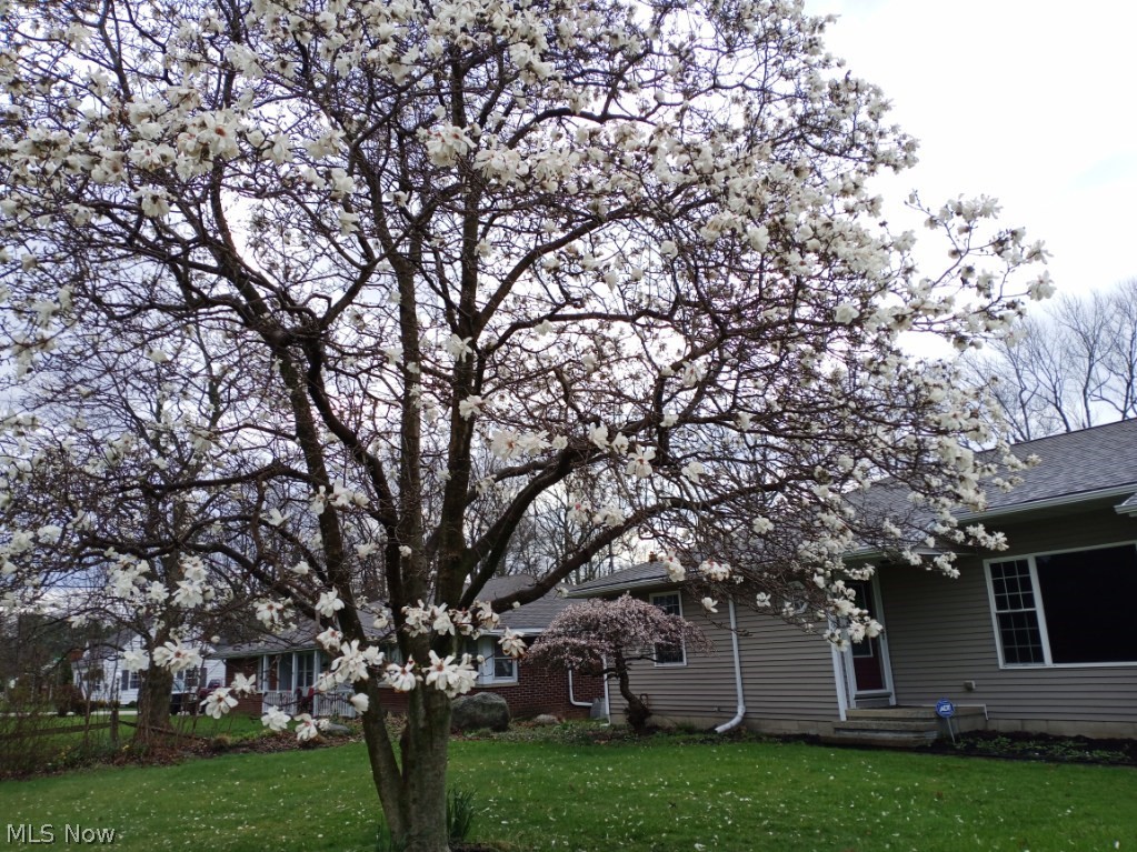 734 Knollwood Drive Ashtabula OH 44004