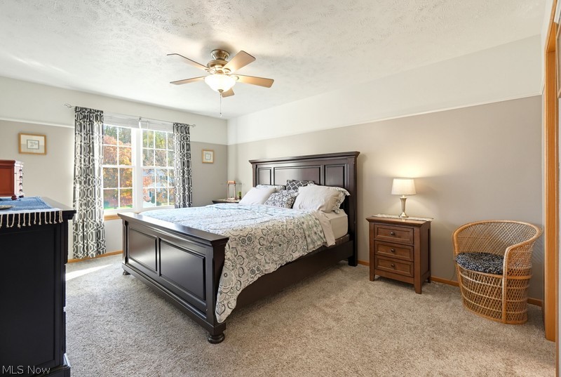1360 Cedar Creek Court Painesville OH 44077
