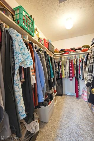 1360 Cedar Creek Court Painesville OH 44077
