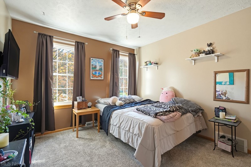 1360 Cedar Creek Court Painesville OH 44077