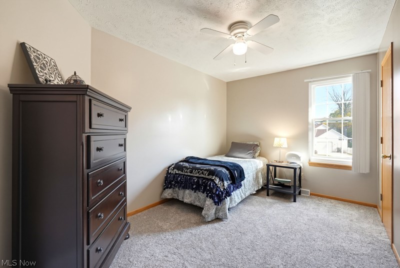 1360 Cedar Creek Court Painesville OH 44077
