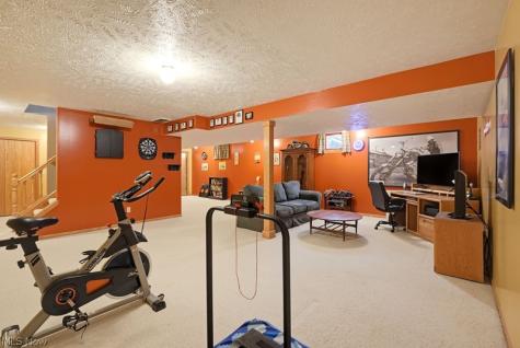 1360 Cedar Creek Court Painesville OH 44077
