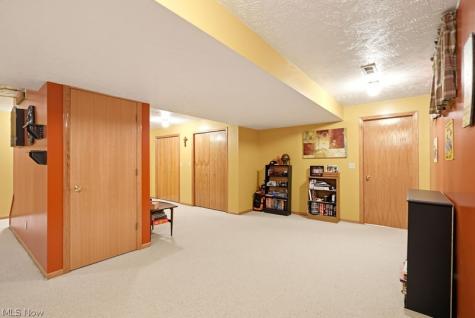 1360 Cedar Creek Court Painesville OH 44077