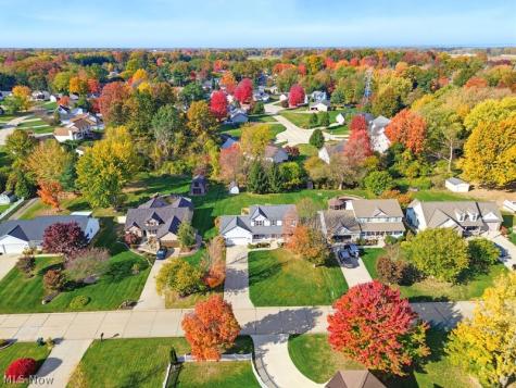 1360 Cedar Creek Court Painesville OH 44077