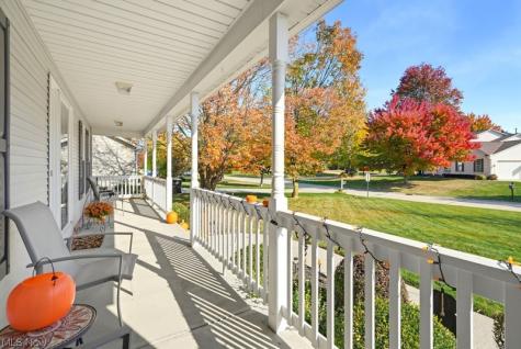 1360 Cedar Creek Court Painesville OH 44077