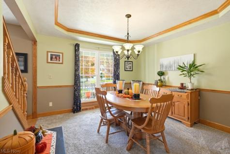 1360 Cedar Creek Court Painesville OH 44077