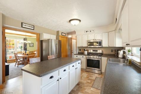 1360 Cedar Creek Court Painesville OH 44077