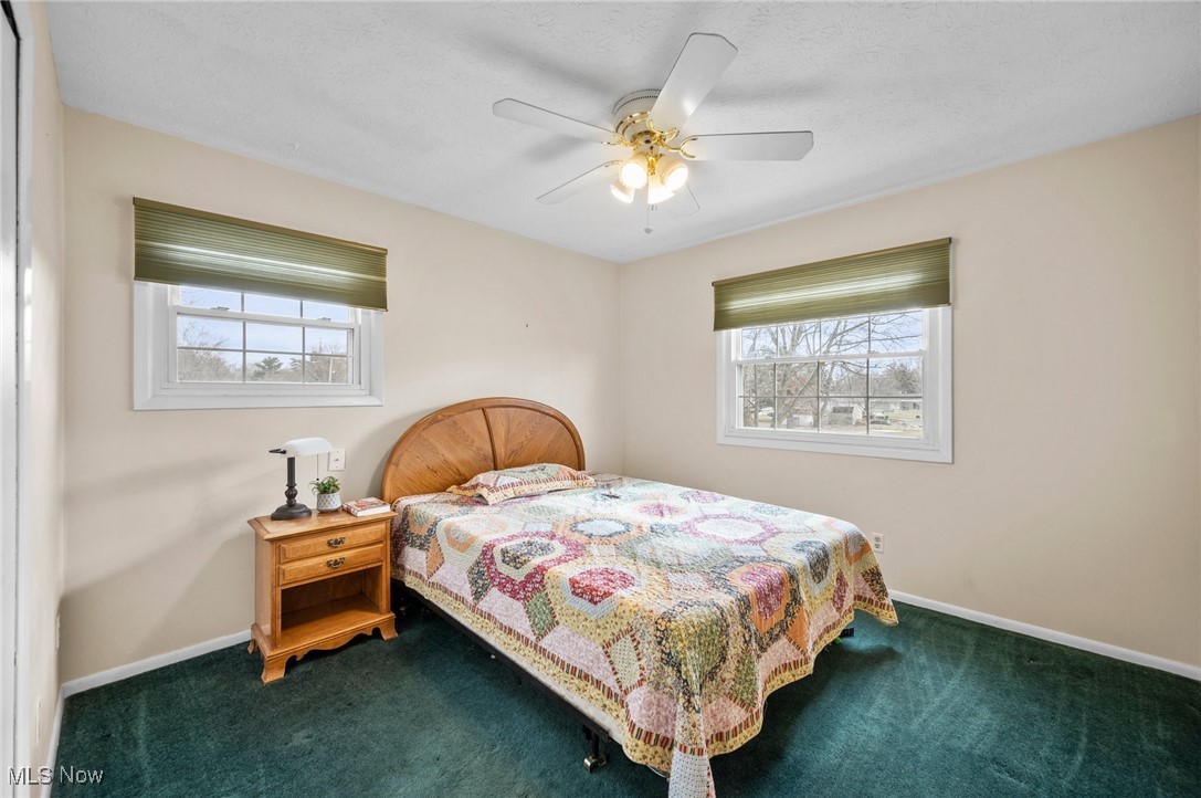 926 Gaynelle Avenue Streetsboro OH 44241