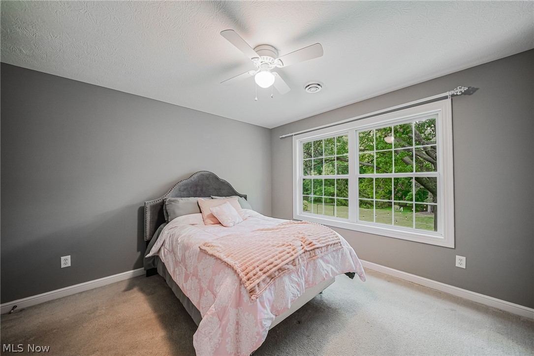 985 W Martin Avenue Amherst OH 44001