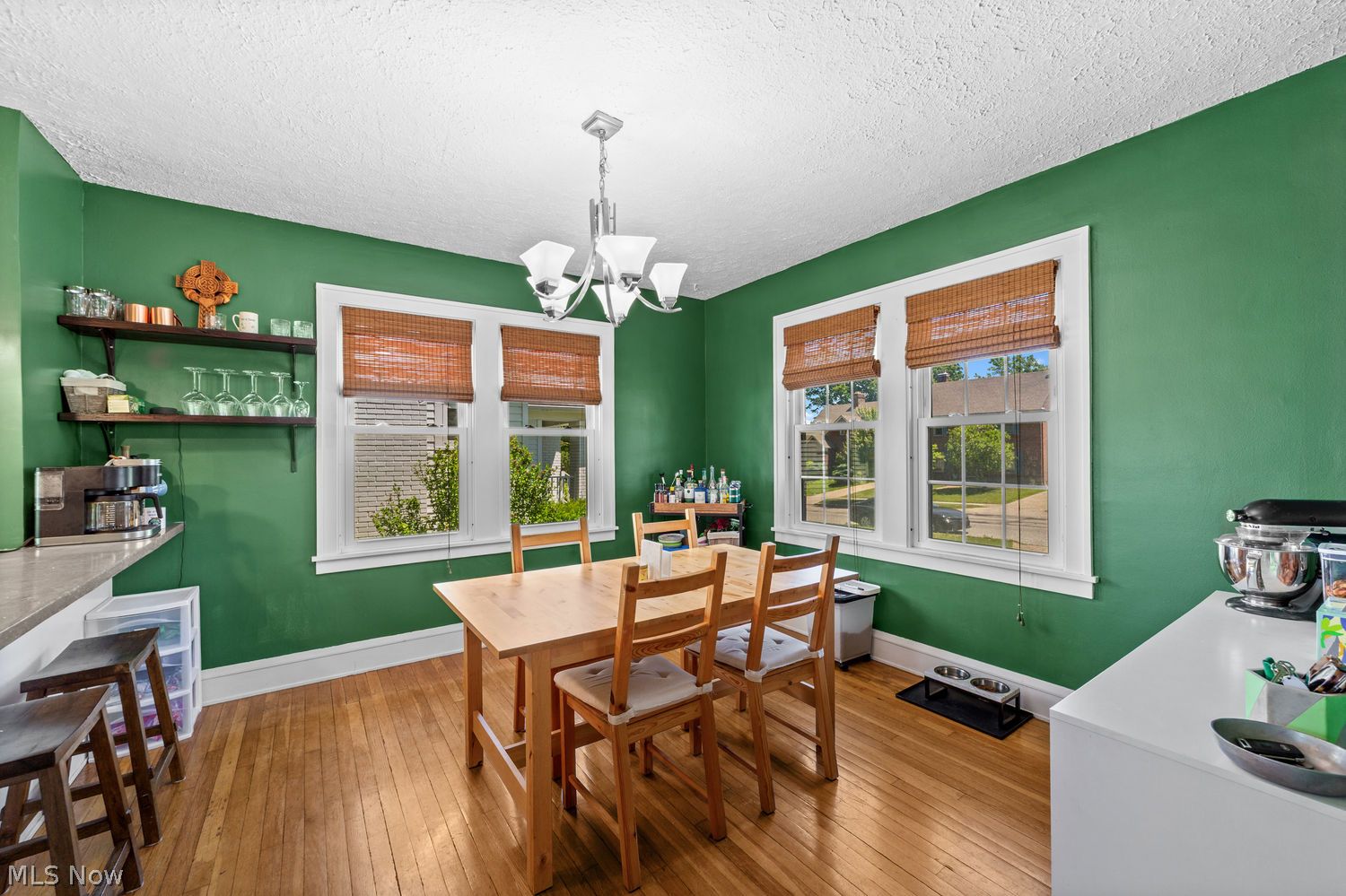 1480 Bunts Road Lakewood OH 44107