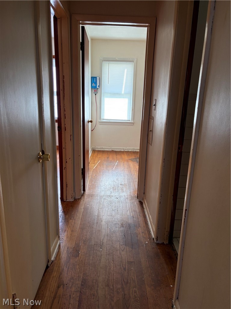 3784 E 365th Street Willoughby OH 44094