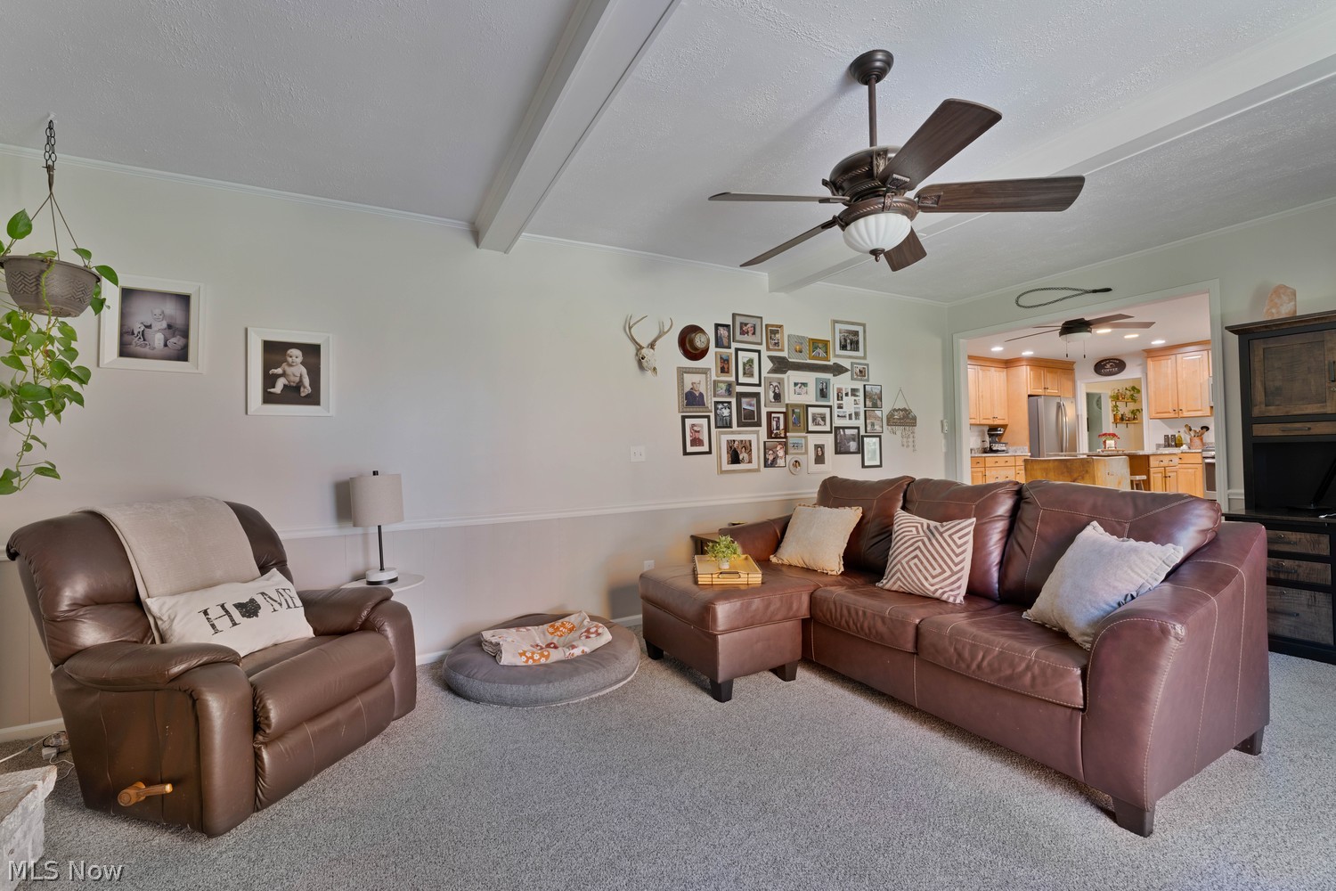 3238 Hummingbird Hill Drive Poland OH 44514