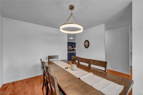 1062 Mcshane Drive Cuyahoga Falls OH 44221