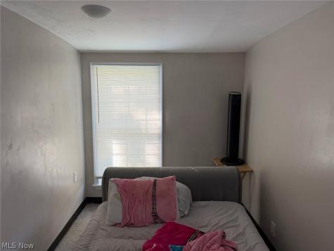 25450 Farringdon Avenue Euclid OH 44132