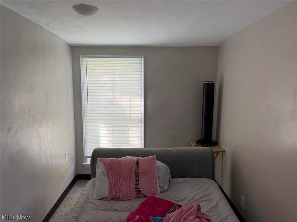 25450 Farringdon Avenue Euclid OH 44132