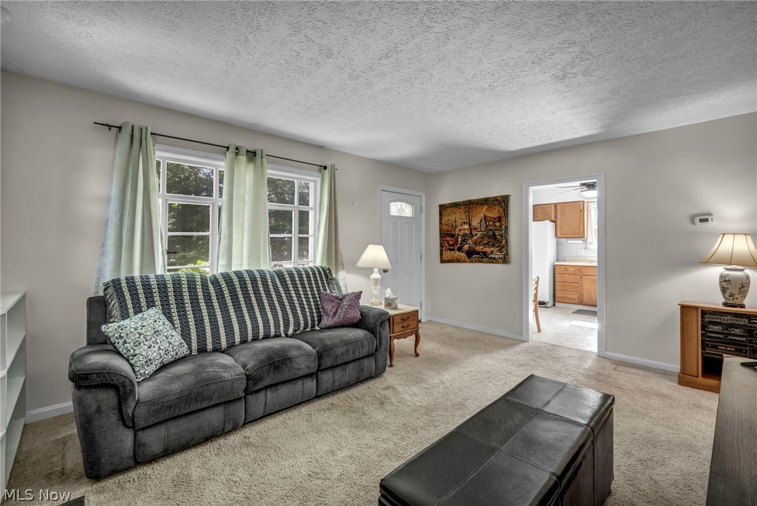 8375 Nowlen Street Mentor OH 44060