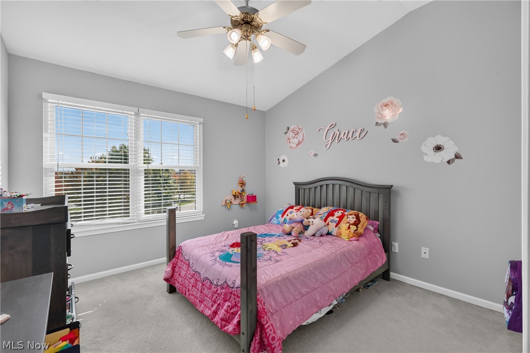 143 Heartland Circle Hinckley OH 44233