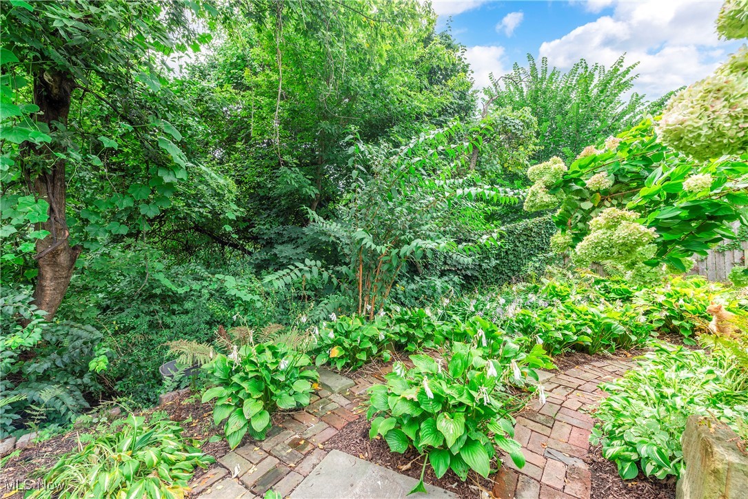 819 Brayton Avenue Cleveland OH 44113