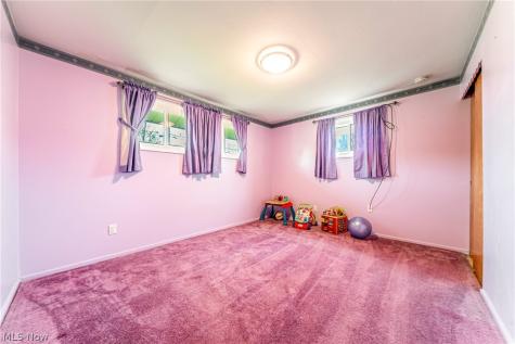 9433 Steffner Drive Streetsboro OH 44241