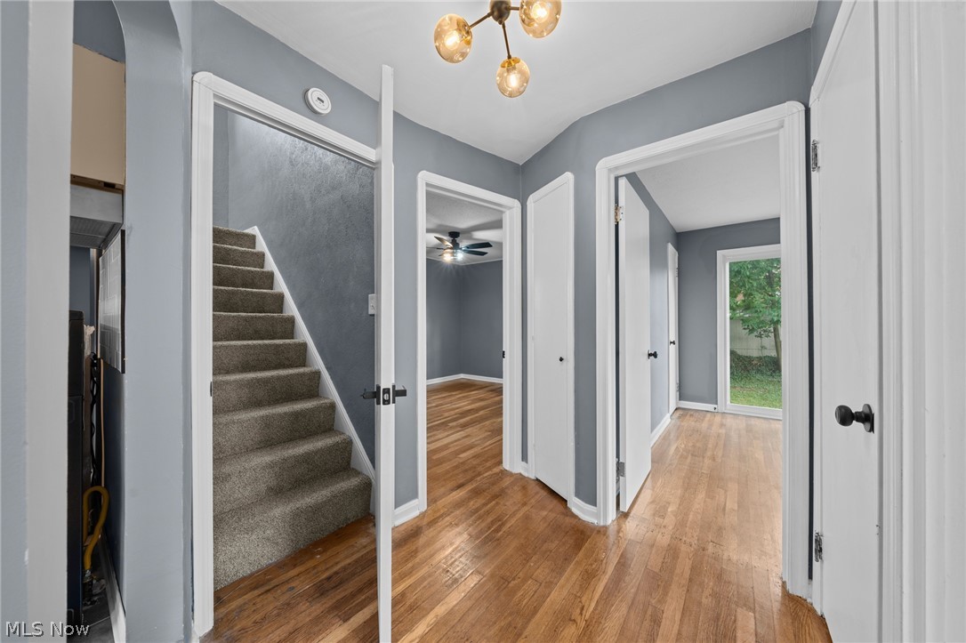 8219 Wainstead Drive Parma OH 44129