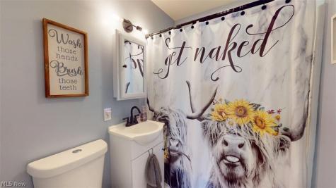 407 Maplewood Drive Willowick OH 44095