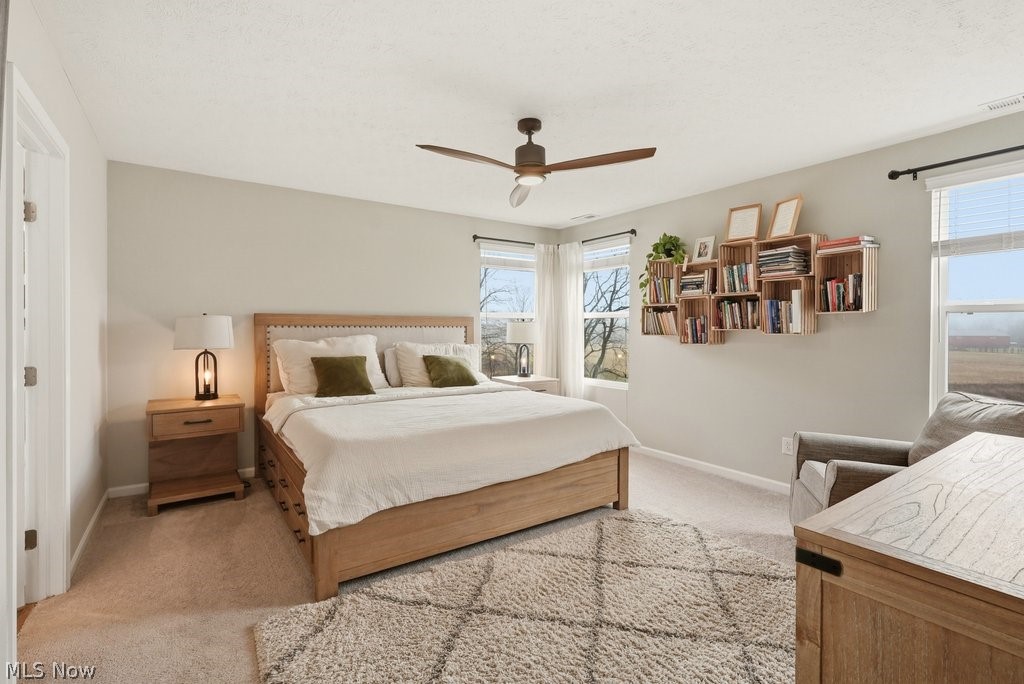 1812 Cobham Lane Wadsworth OH 44281