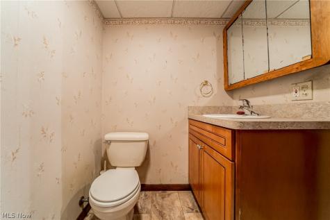 6993 Deer Path Olmsted Twp OH 44138