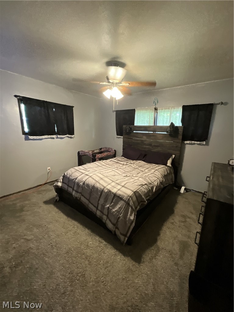 4130 Woodmere Drive Austintown OH 44515