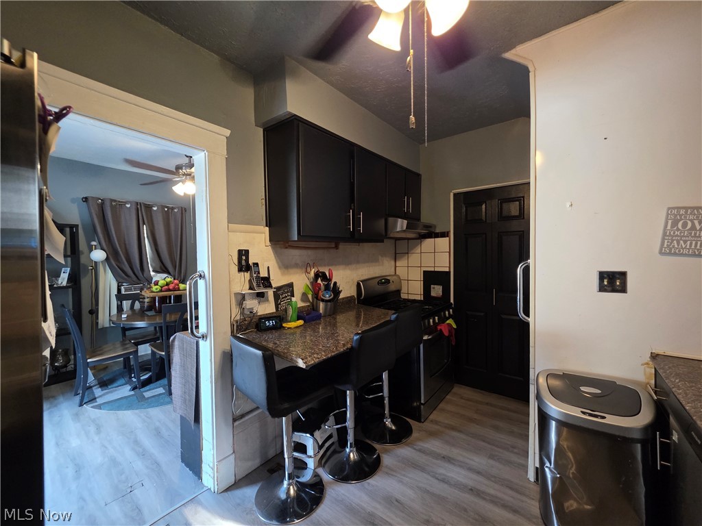 8817 Blaine Avenue Cleveland OH 44106