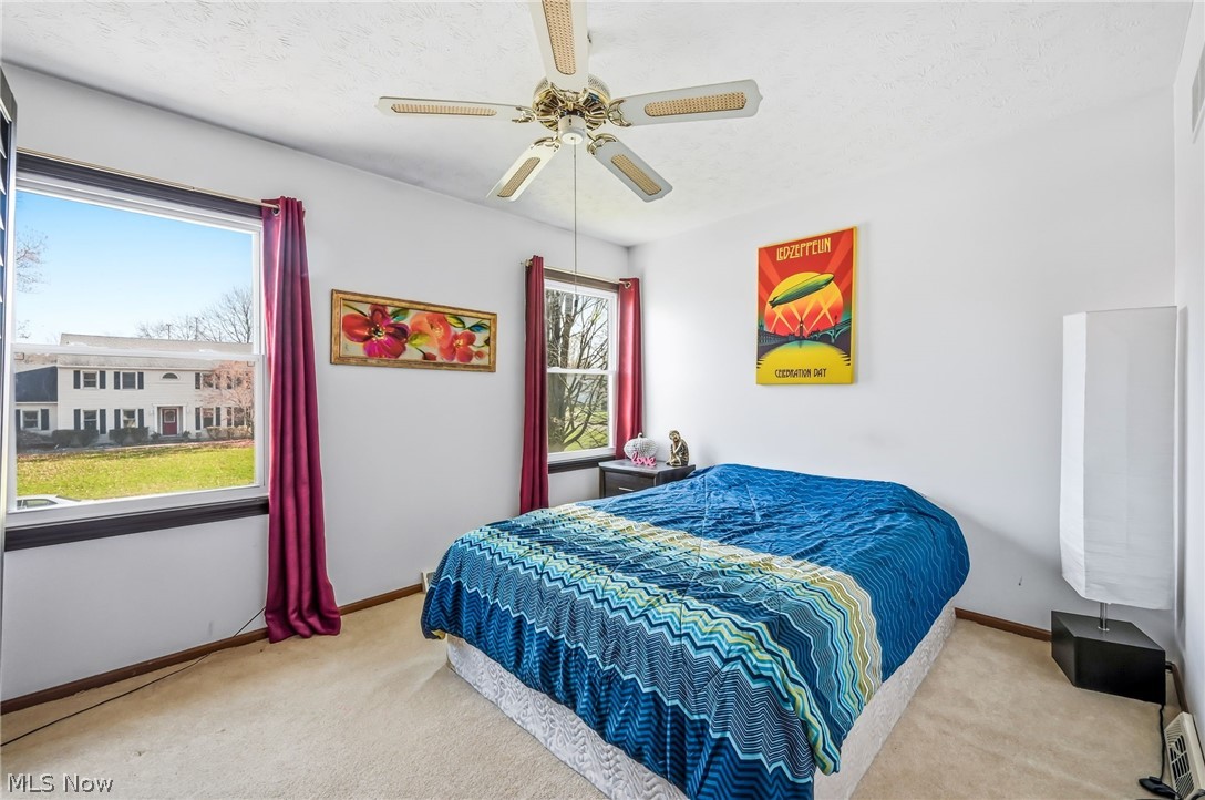 510 W Regency Circle Canfield OH 44406
