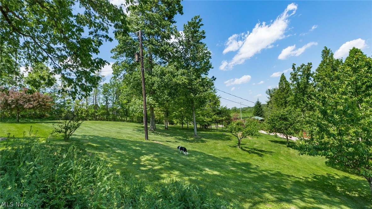 6150 Ballard Road Nashport OH 43830