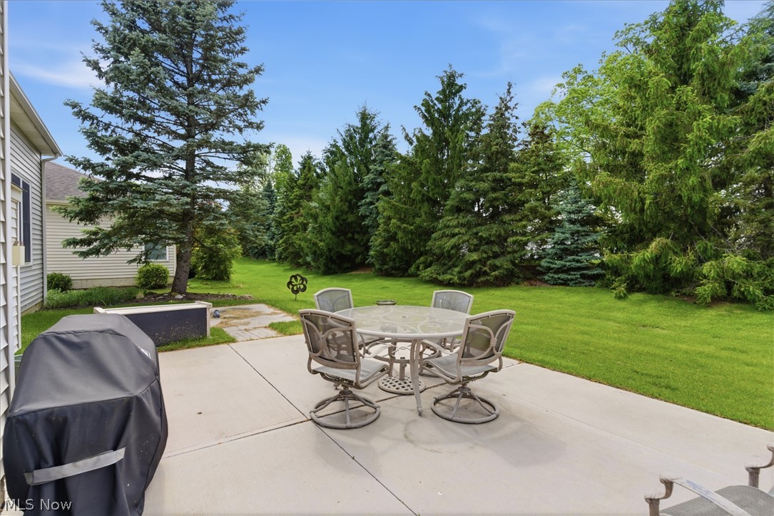 15220 Chestnut Oak Lane Strongsville OH 44149