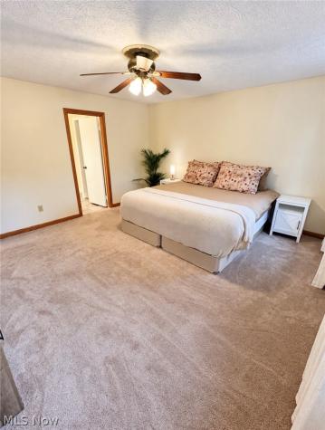 5791 Nicholson Drive Hudson OH 44236