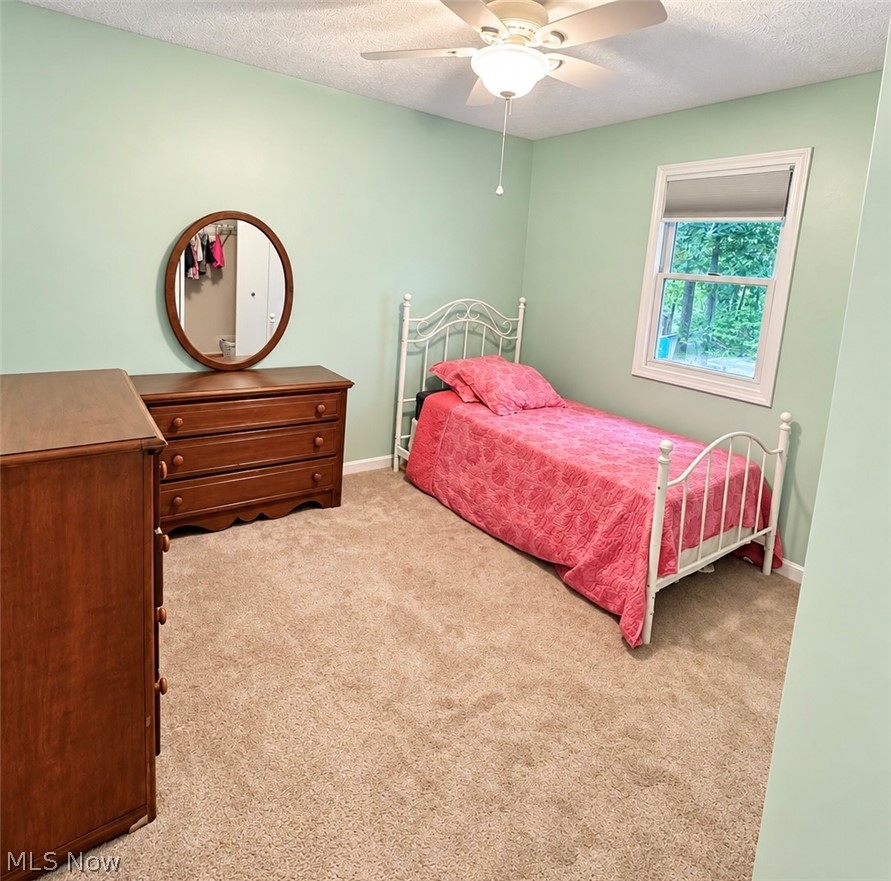 5791 Nicholson Drive Hudson OH 44236
