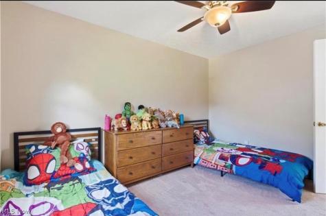 5791 Nicholson Drive Hudson OH 44236