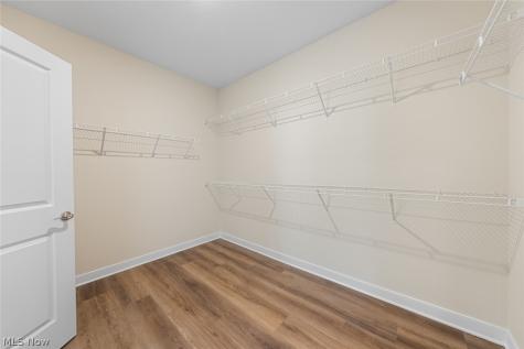 2440 Merriment Drive Elyria OH 44035