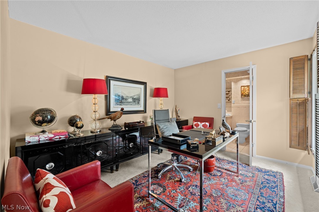 17571 Merry Oaks Trail Chagrin Falls OH 44023