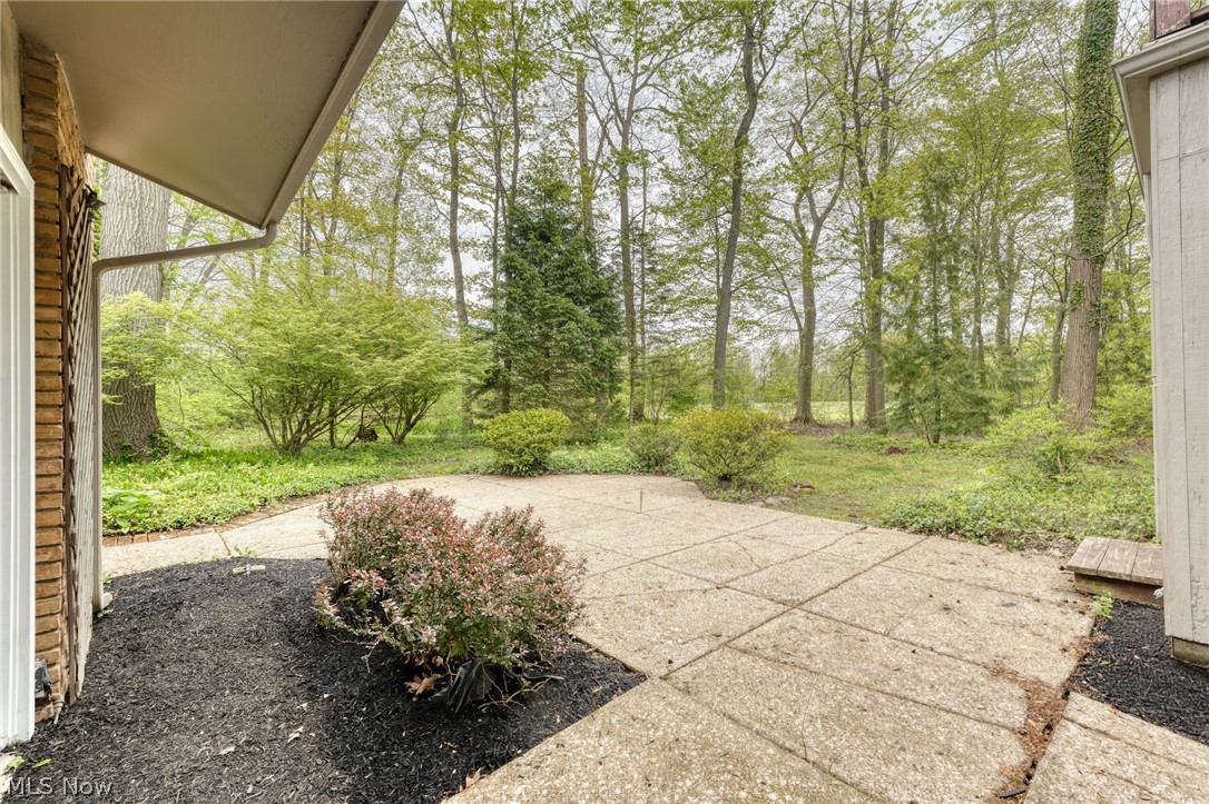 17571 Merry Oaks Trail Chagrin Falls OH 44023