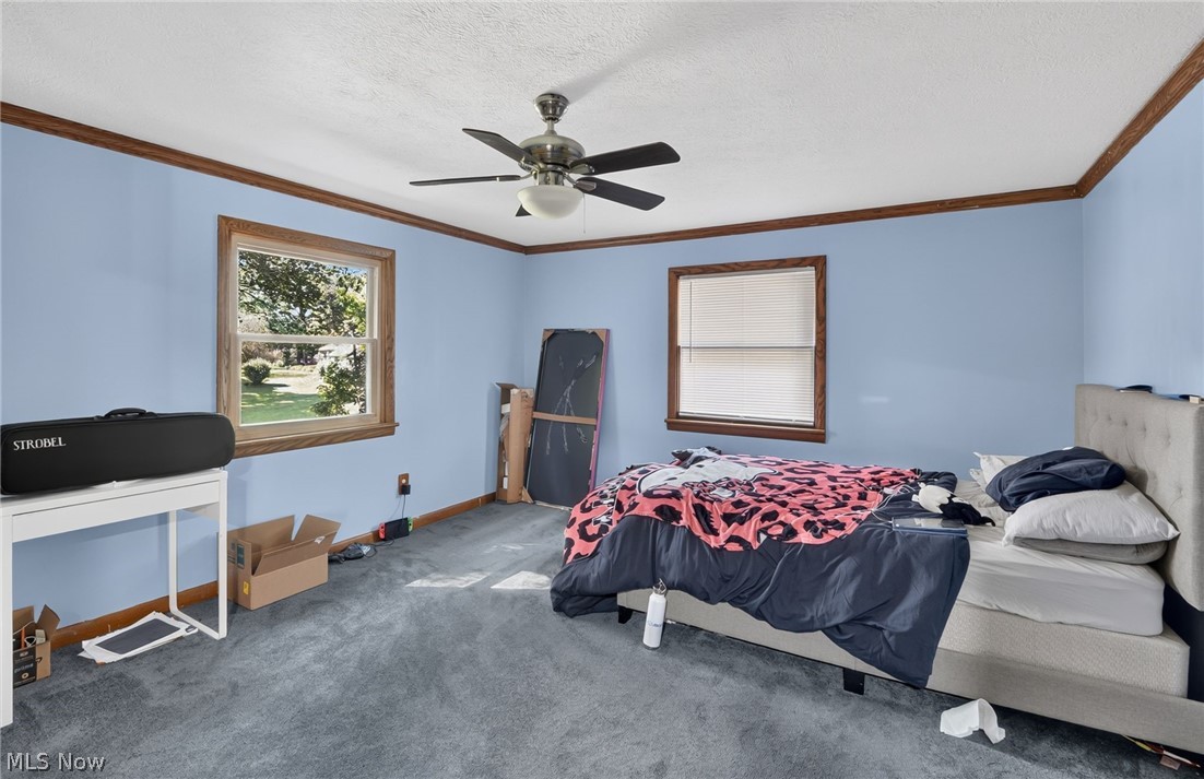598 Randolph Road Mogadore OH 44260