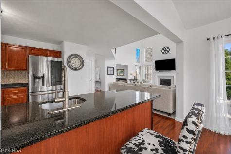 33275 Ambleside Drive Avon Lake OH 44012