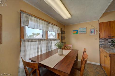 701 Tenney Avenue Amherst OH 44001