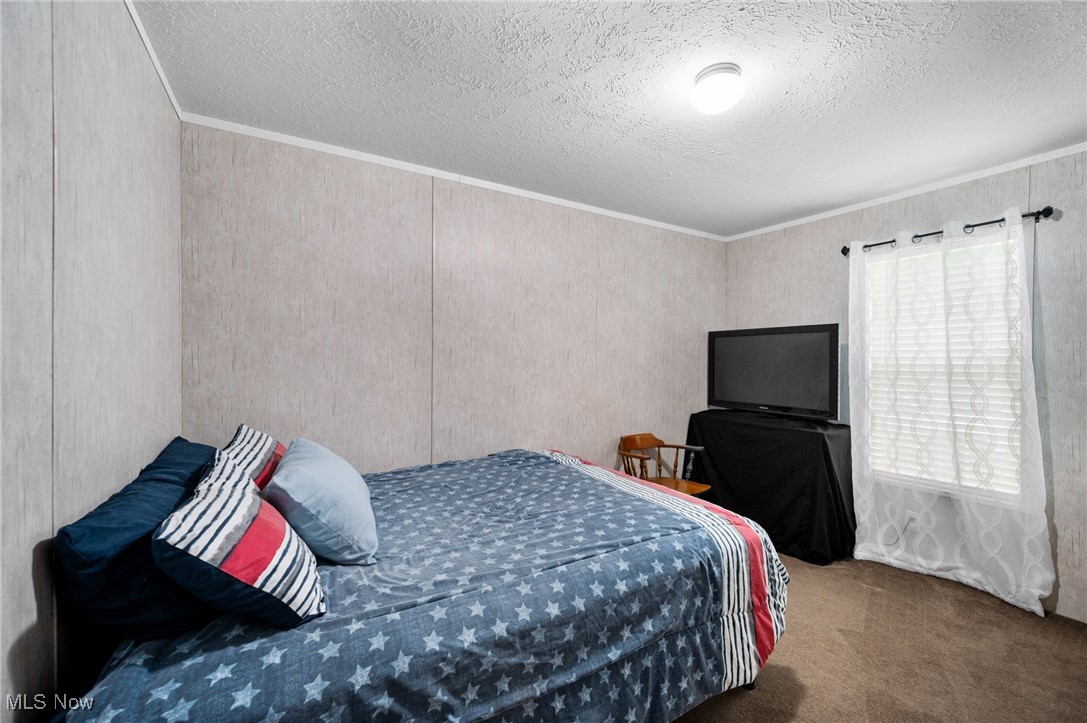 9979 Lady Catherine Streetsboro OH 44241