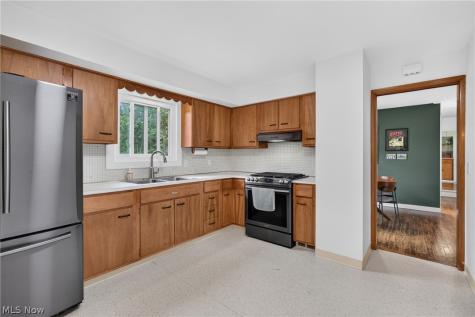15521 Frick Court Cleveland OH 44111