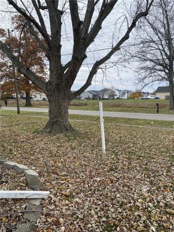 3211 Kneirim Drive Lorain OH 44053